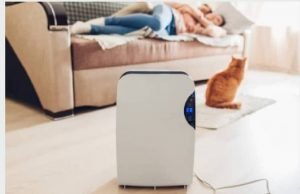 Best Humidifier For Eczema